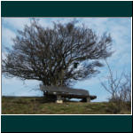 Rheinsteig II 108.jpg